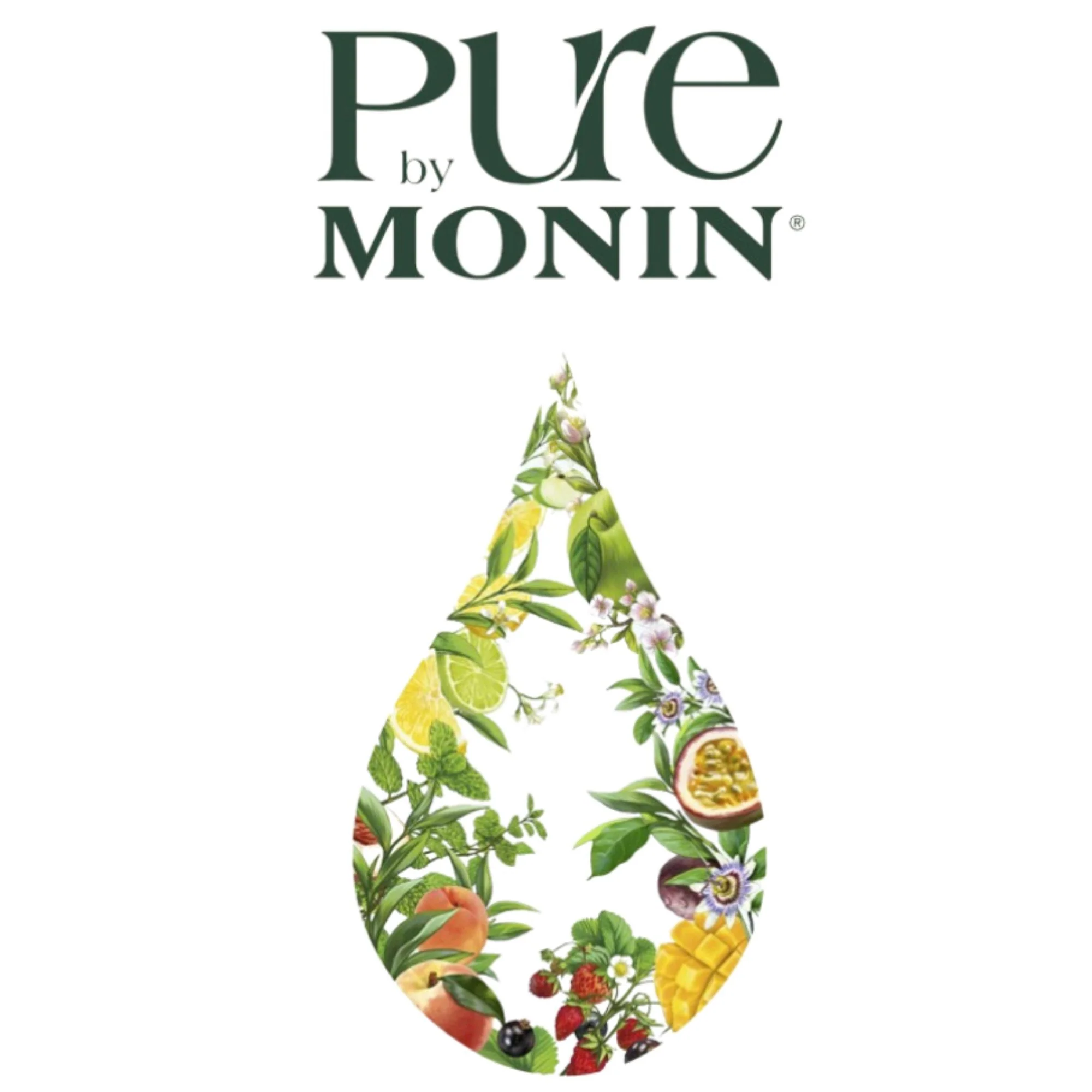 Monin Pure Non Sucré Cucumber - niesłodzony syrop koncentrat bez cukru i słodzików z naturalnymi aromatami - Image 7